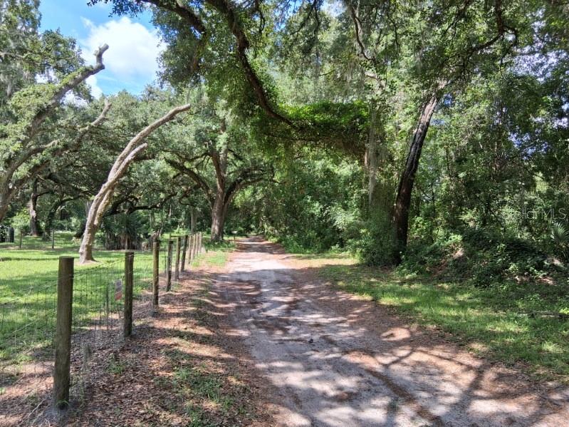 10628 CR 771, WEBSTER, FL, 33597