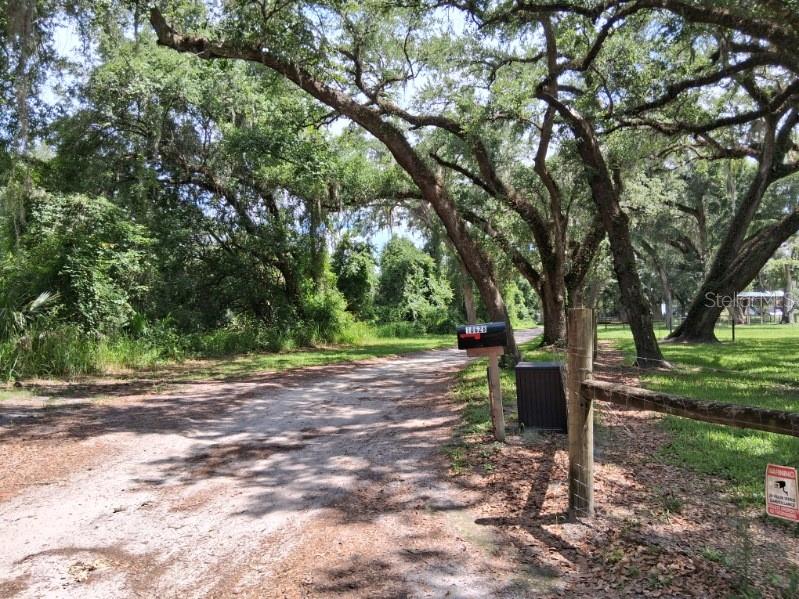 10628 CR 771, WEBSTER, FL, 33597