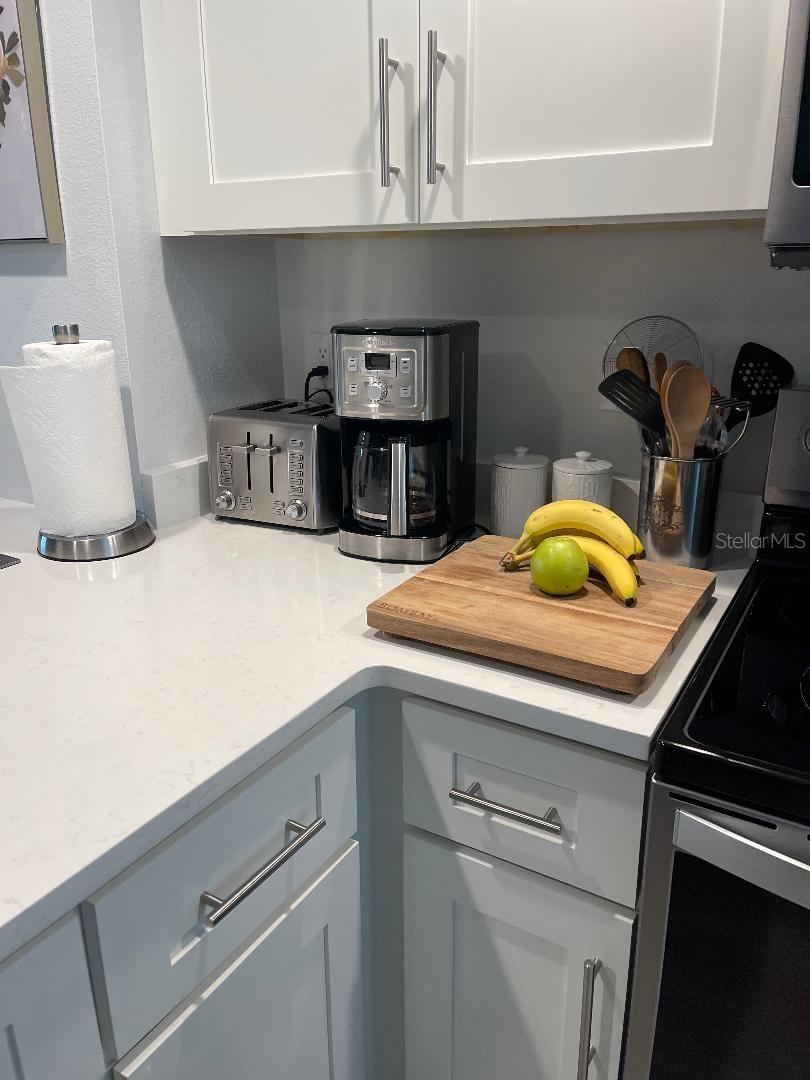 960 STARKEY RD #10305, LARGO, FL, 33771