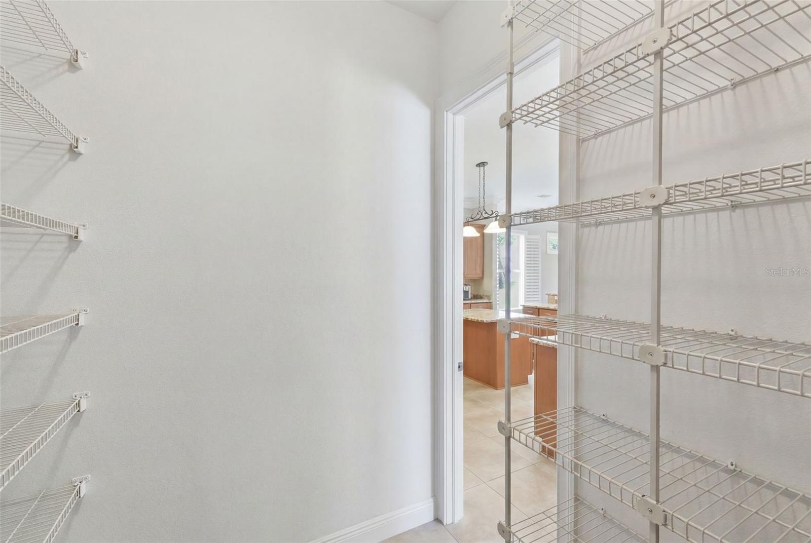 11145 MOUNTAIN MOCKINGBIRD RD, WEEKI WACHEE, FL, 34614