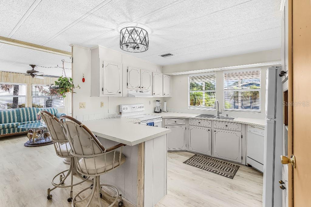 251 IBIS, PUNTA GORDA, FL, 33950