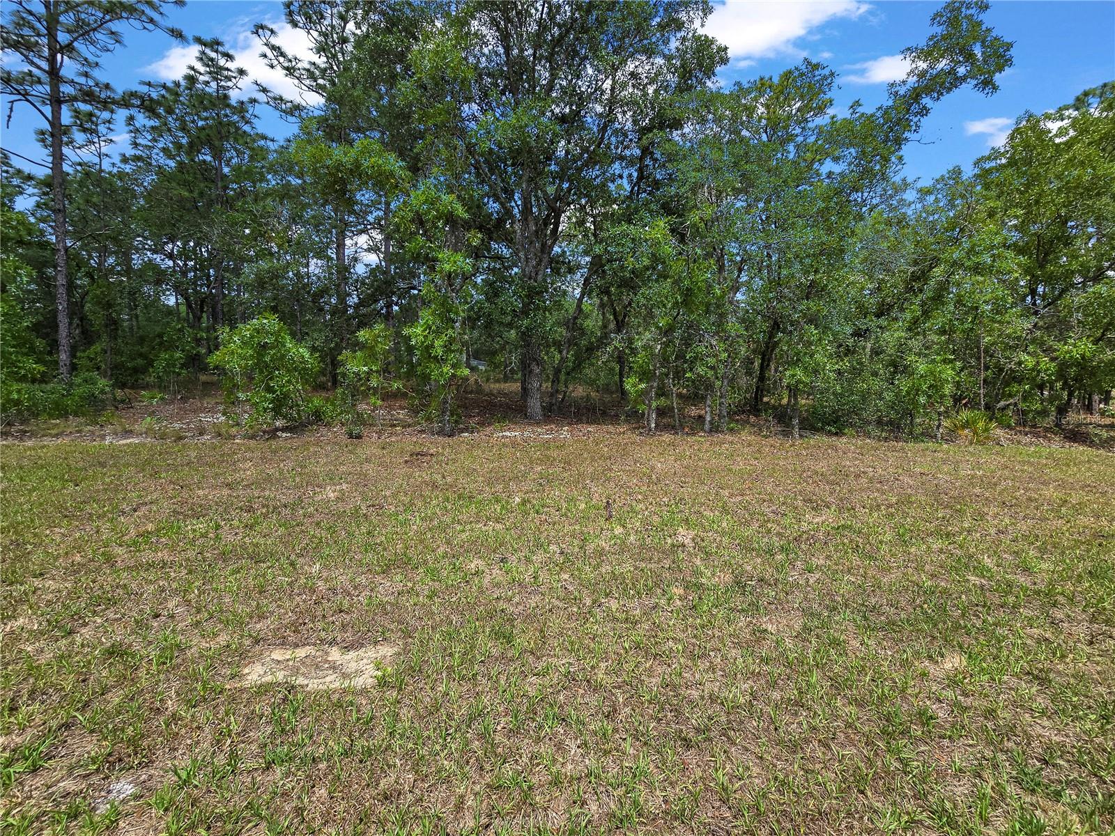 CITRUS SPGS UNIT 03, CITRUS SPRINGS, FL, 34433