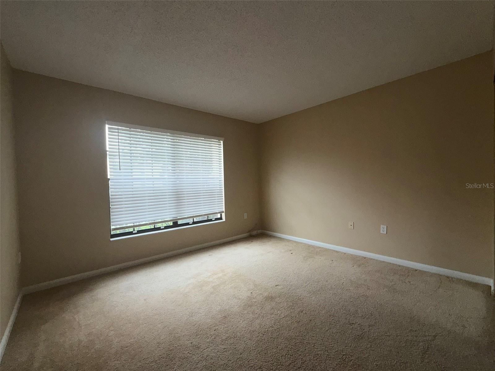 3380 CRYSTAL CT E #B, PALM HARBOR, FL, 34685