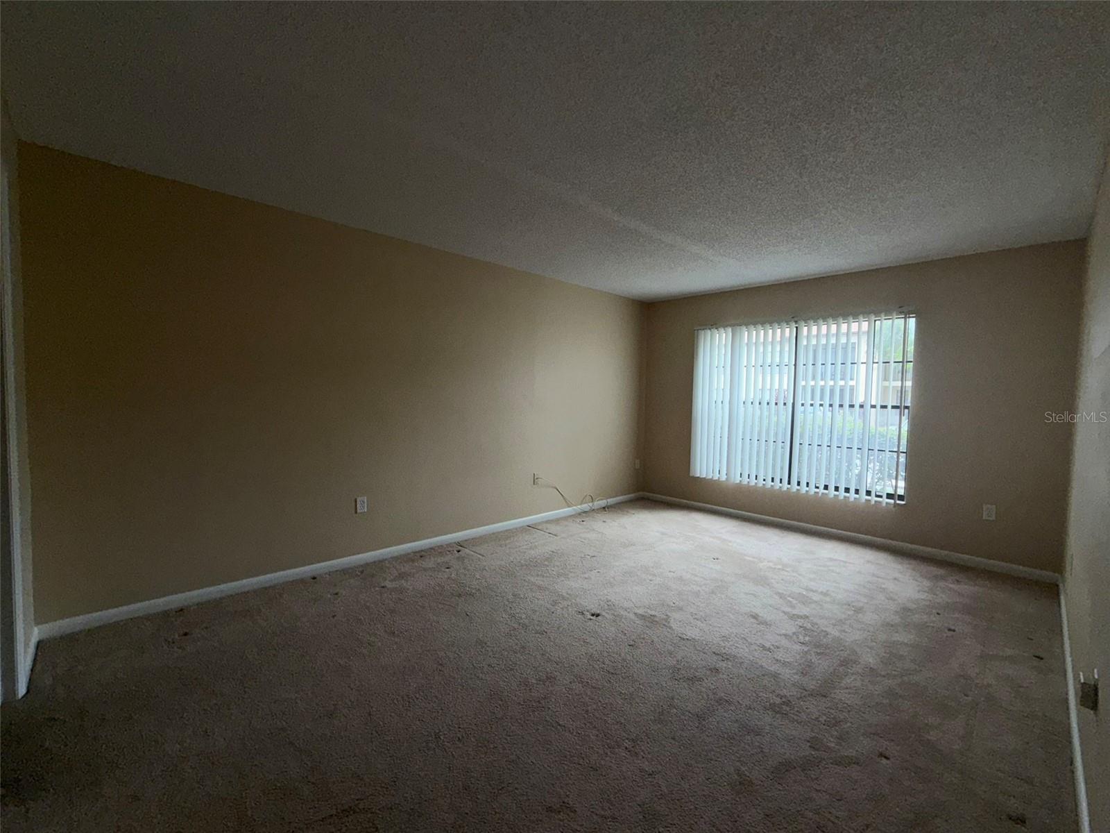 3380 CRYSTAL CT E #B, PALM HARBOR, FL, 34685