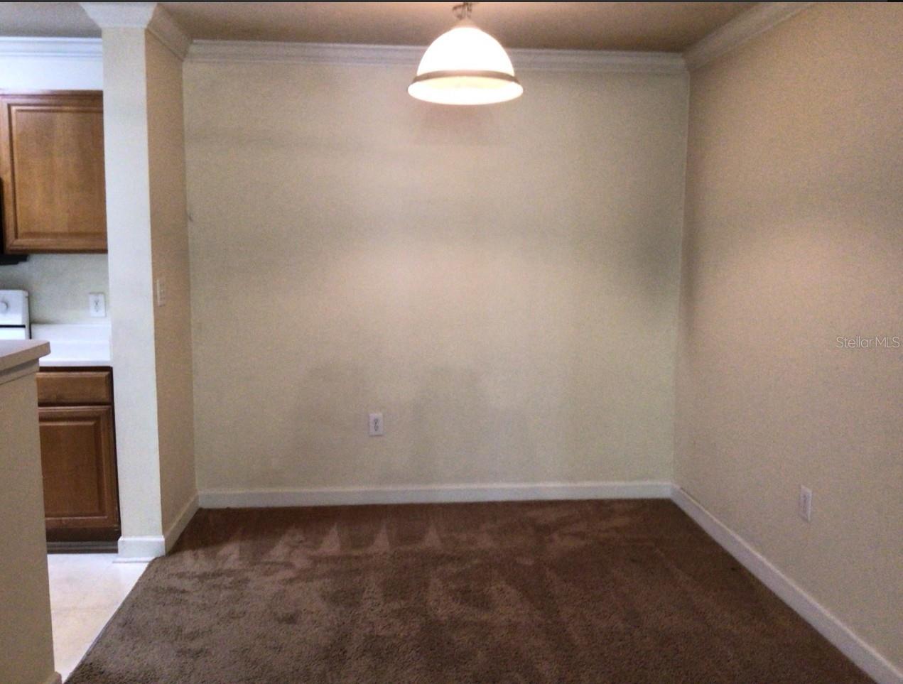 18139 BACK STRETCH LN #18139, TAMPA, FL, 33647