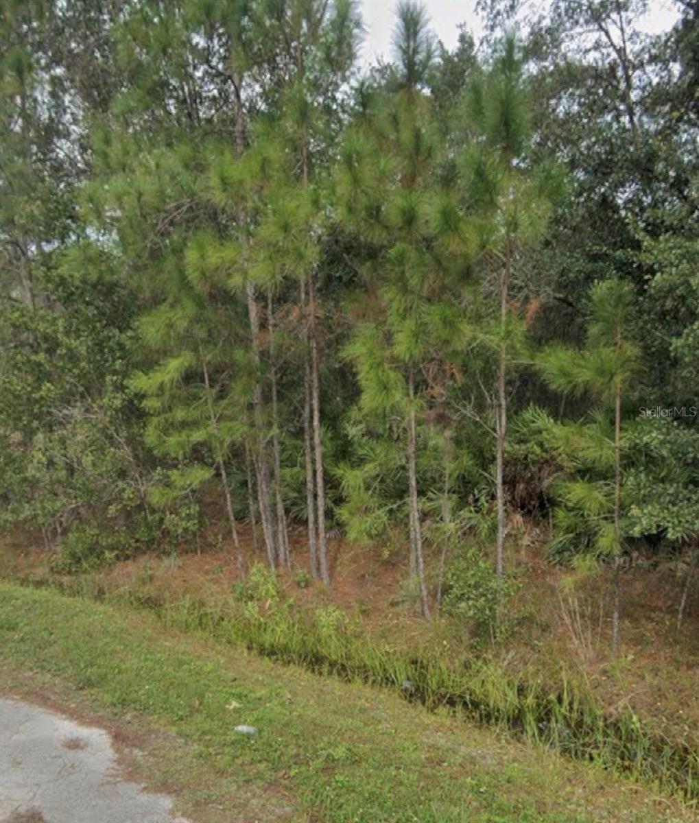 1437 TERN CT, POINCIANA, FL, 34759