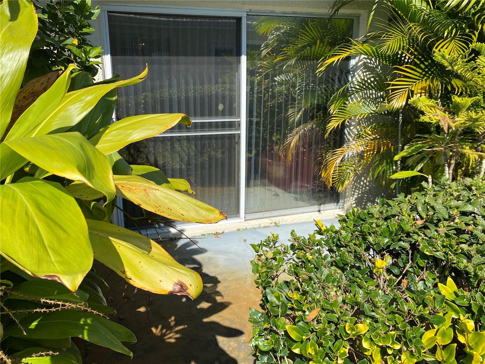 1059 DUNROBIN DR #B, PALM HARBOR, FL, 34684