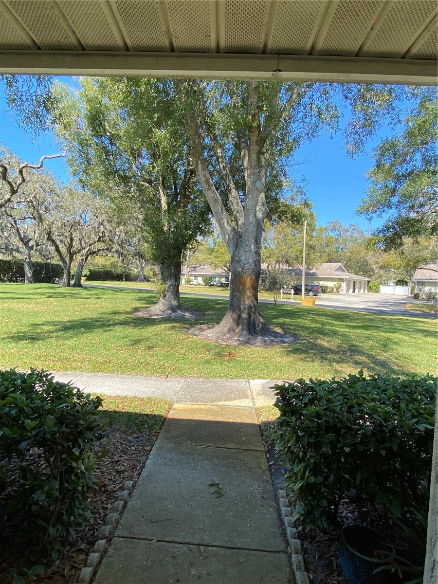 1059 DUNROBIN DR #B, PALM HARBOR, FL, 34684