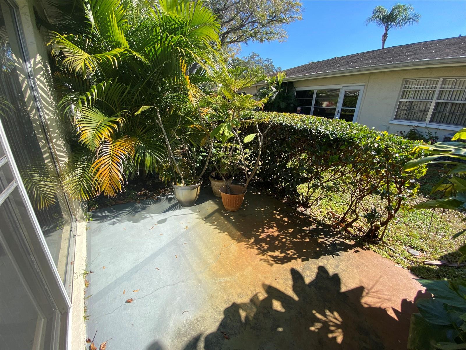 1059 DUNROBIN DR #B, PALM HARBOR, FL, 34684