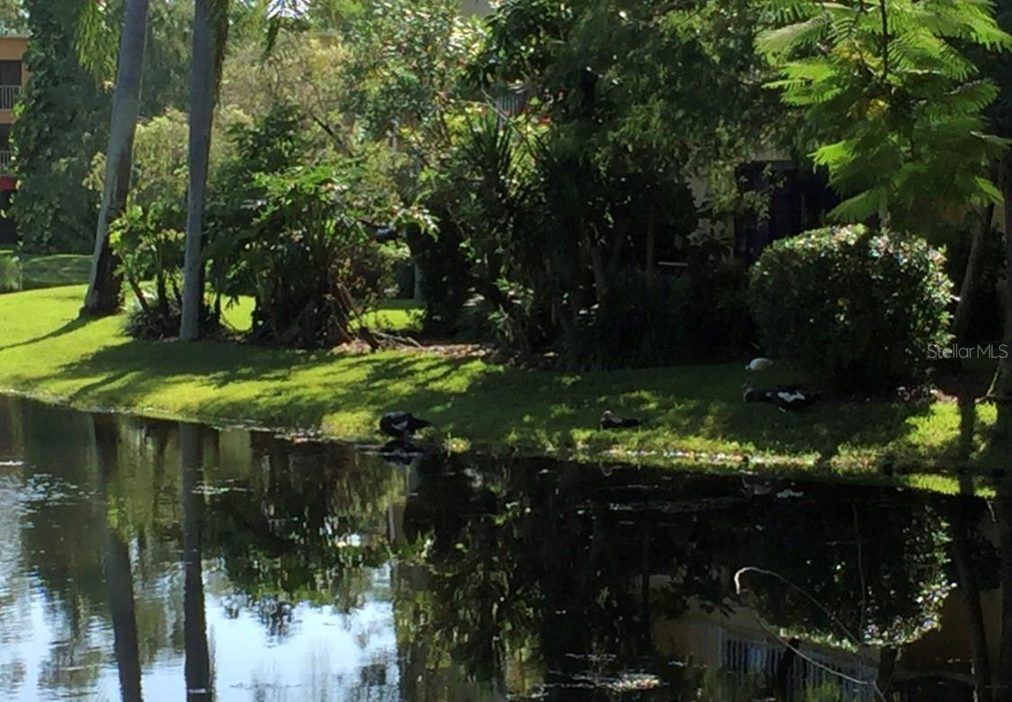 1645 SPOONBILL LN #C, NAPLES, FL, 34105