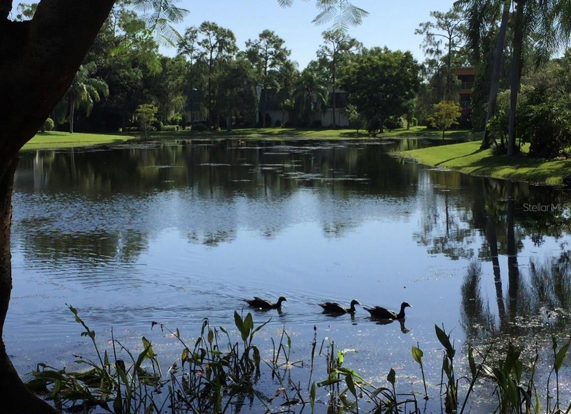 1645 SPOONBILL LN #C, NAPLES, FL, 34105