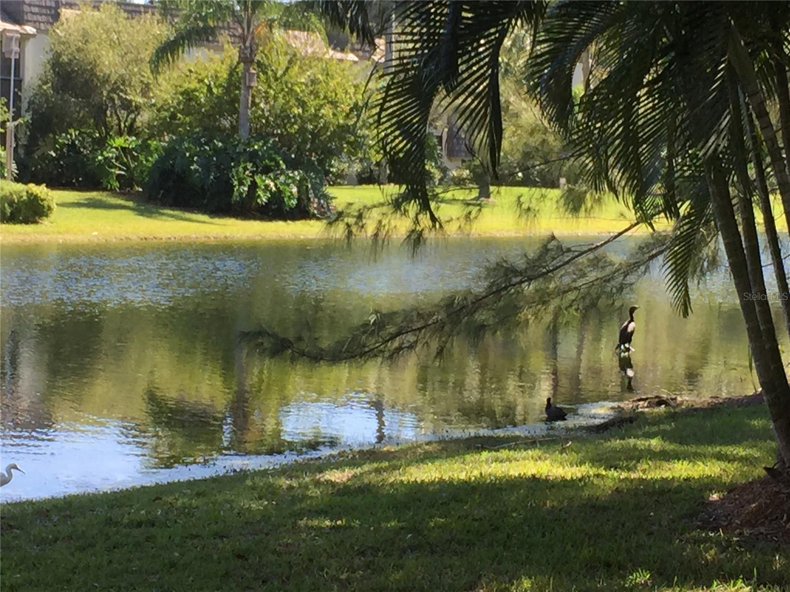 1645 SPOONBILL LN #C, NAPLES, FL, 34105