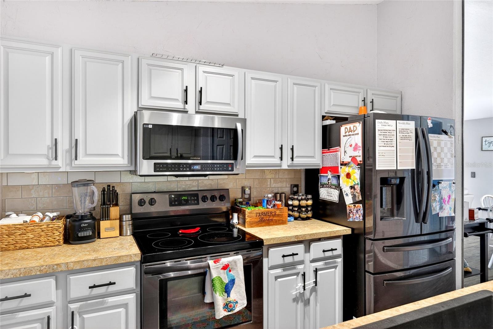 45 LARCH RADL, OCALA, FL, 34480