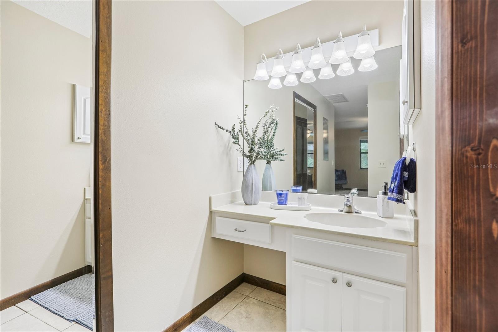 7809 PINEVIEW DR, ODESSA, FL, 33556