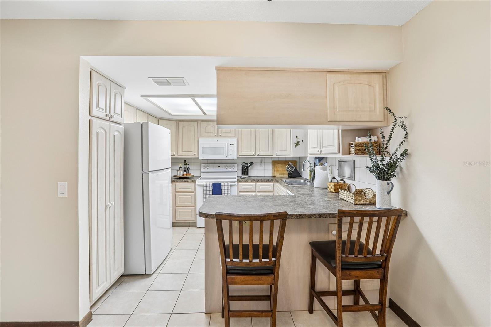 7809 PINEVIEW DR, ODESSA, FL, 33556