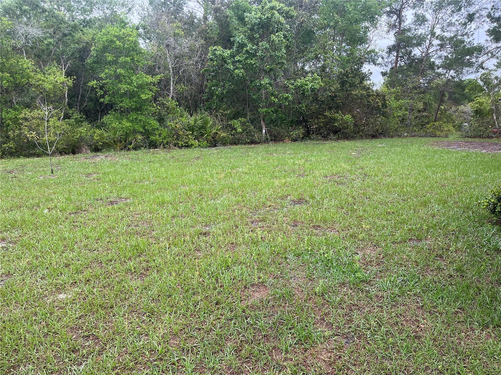 619 HICKORY AVE, ORANGE CITY, FL, 32763