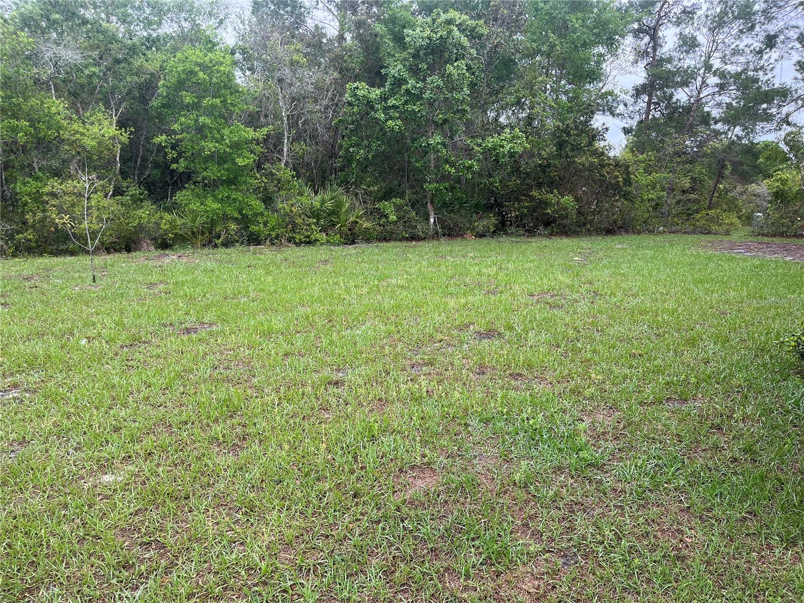 619 HICKORY AVE, ORANGE CITY, FL, 32763