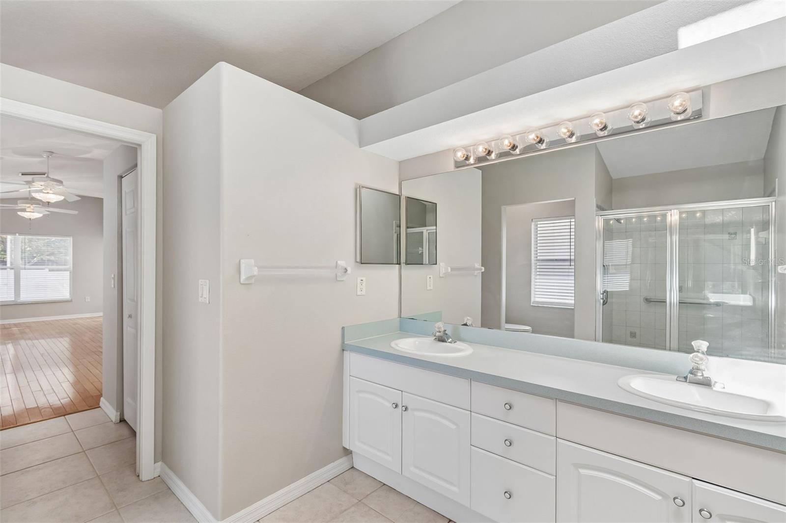 1441 WATERMILL CIR, TARPON SPRINGS, FL, 34689