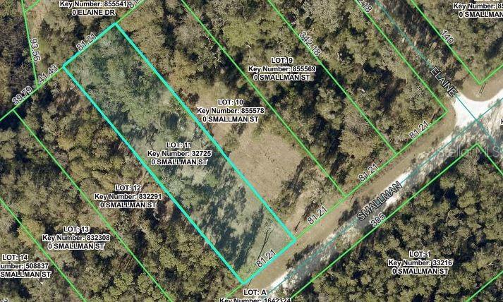 SMALLMAN ST, WEBSTER, FL, 33597