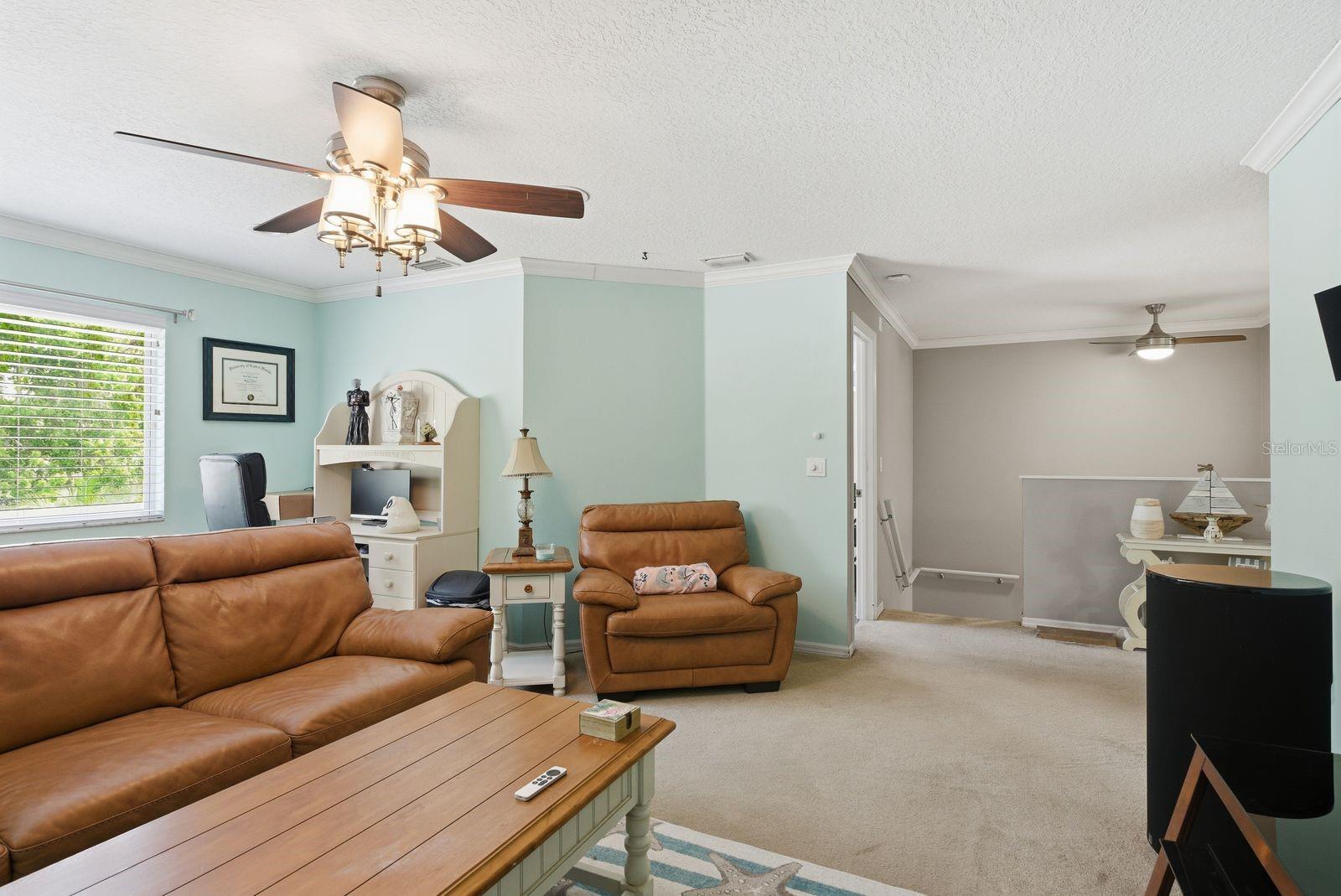 384 WINGATE CIR, OLDSMAR, FL, 34677