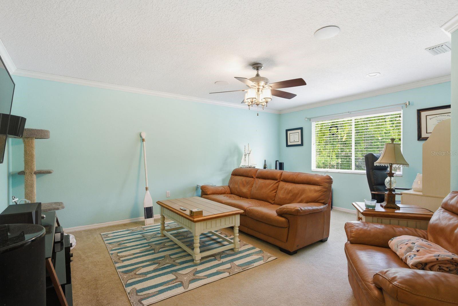384 WINGATE CIR, OLDSMAR, FL, 34677