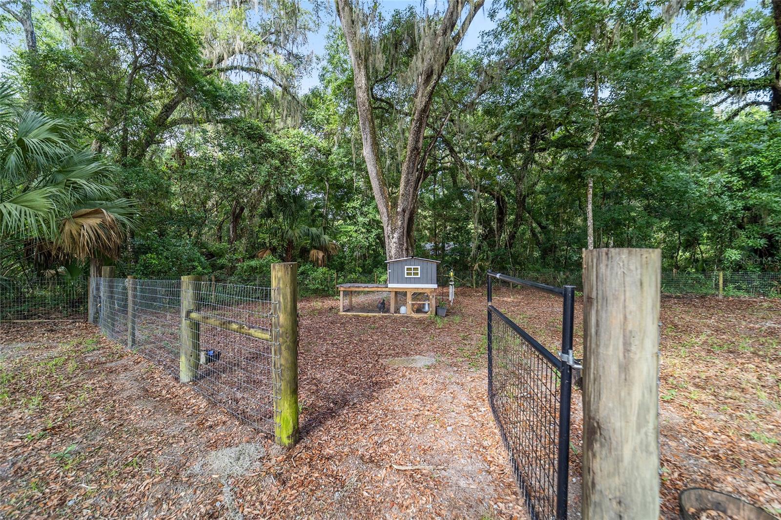 14366 NE 42ND TER, ANTHONY, FL, 32617