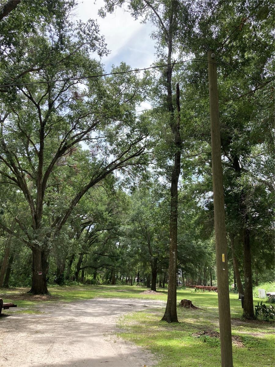 E PINE AVE, MOUNT DORA, FL, 32757