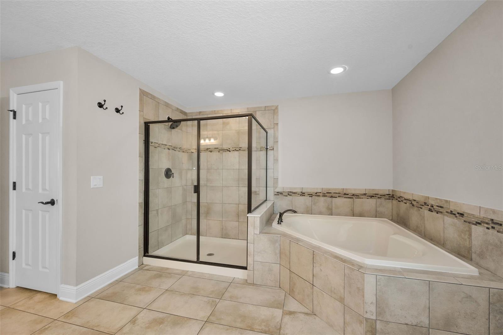 10764 PLEASANT KNOLL DR, TAMPA, FL, 33647