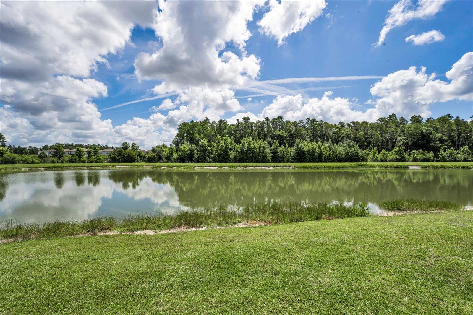 10764 PLEASANT KNOLL DR, TAMPA, FL, 33647