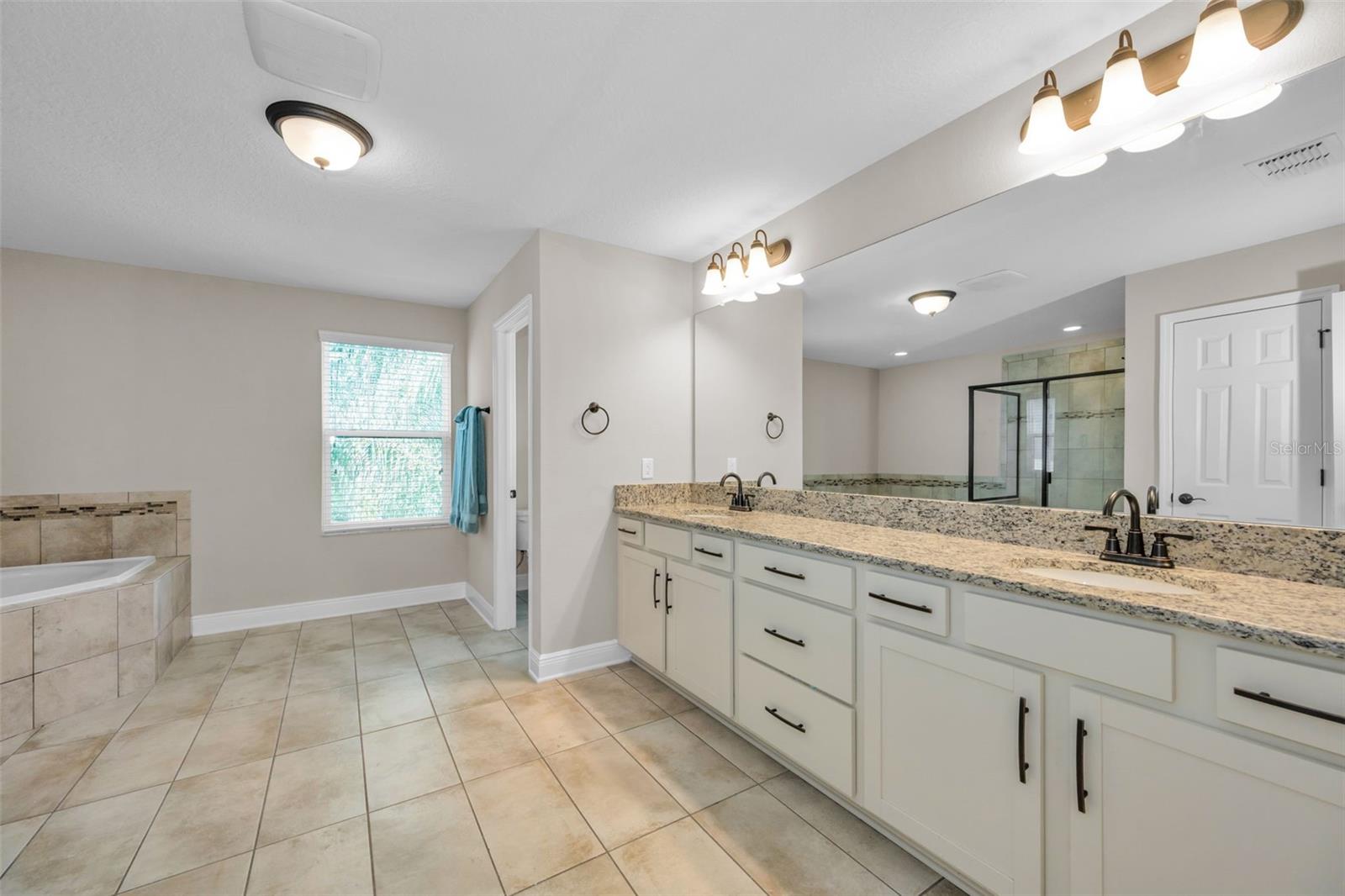 10764 PLEASANT KNOLL DR, TAMPA, FL, 33647