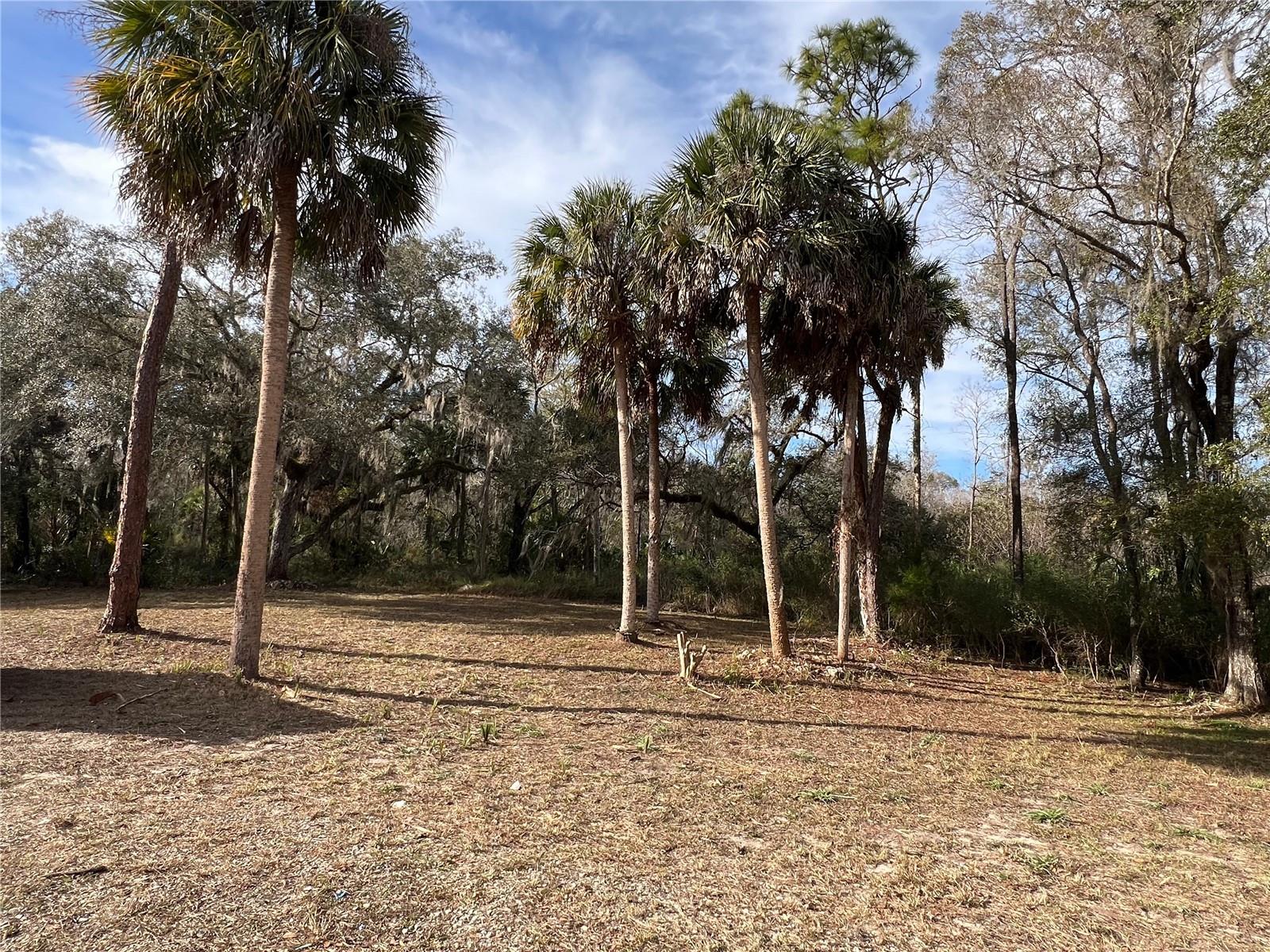 GREENWOOD ACRES 1ST ADD, CRYSTAL RIVER, FL, 34428