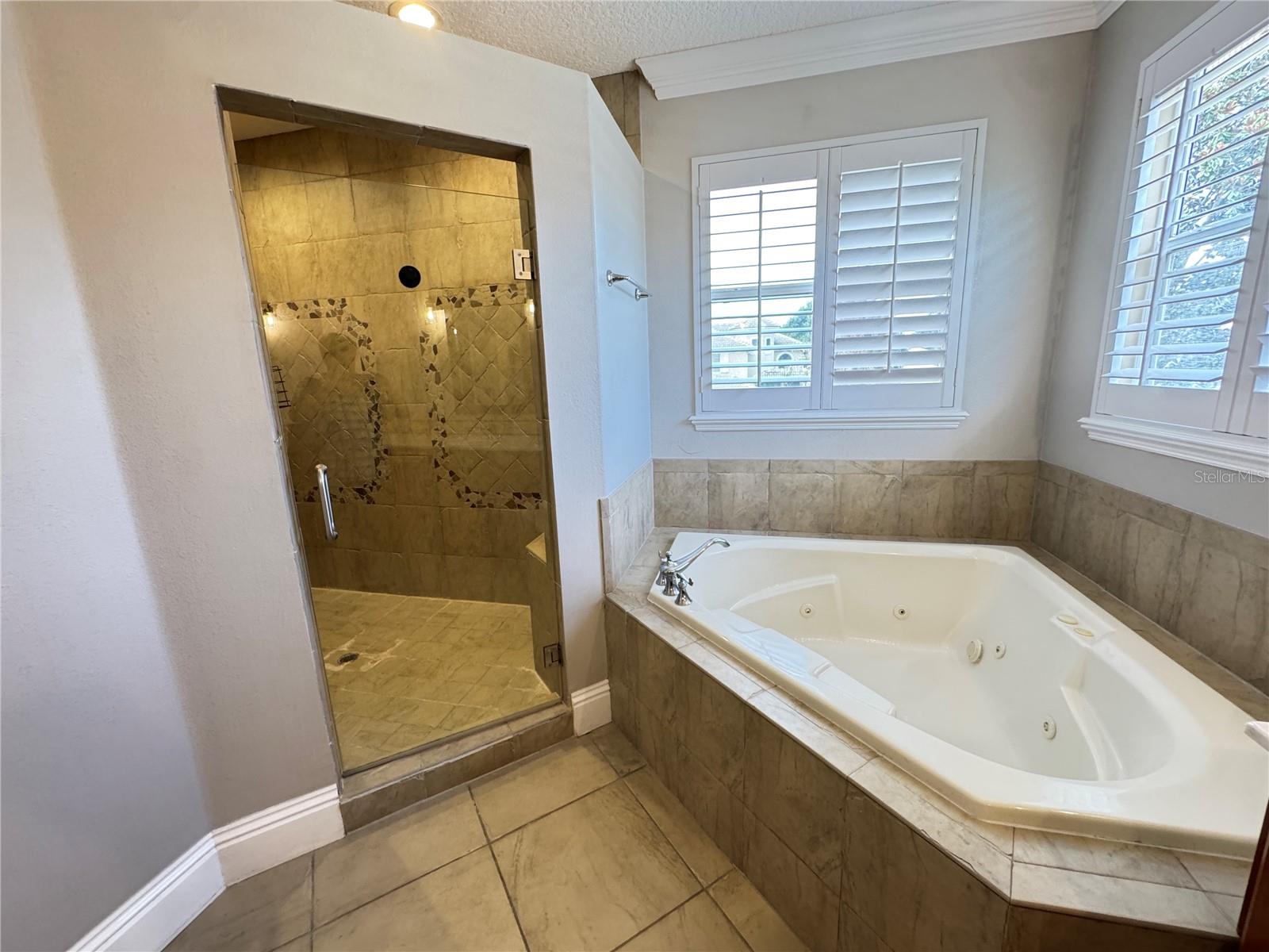 173 CALLIOPE ST, OCOEE, FL, 34761