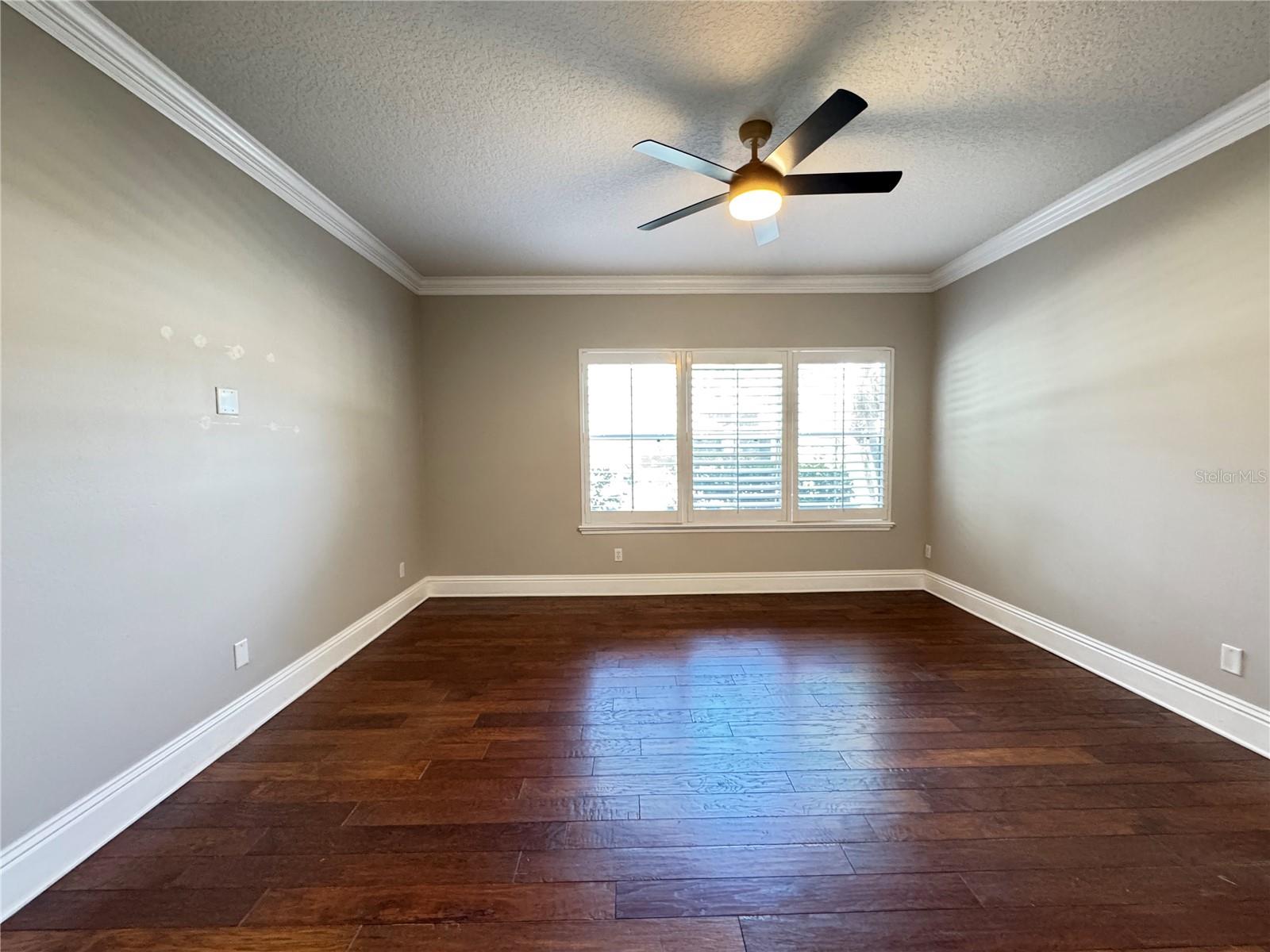 173 CALLIOPE ST, OCOEE, FL, 34761