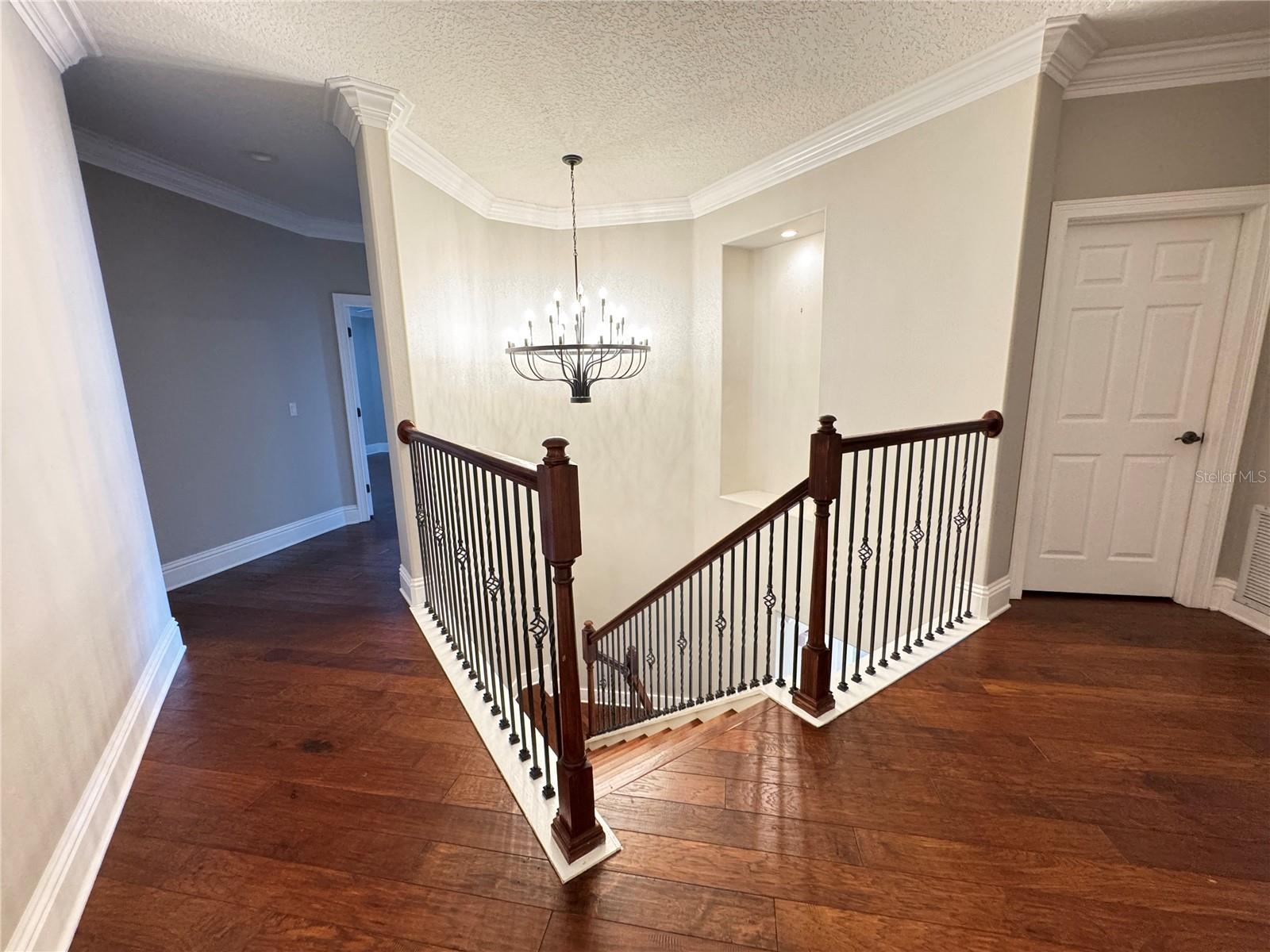 173 CALLIOPE ST, OCOEE, FL, 34761