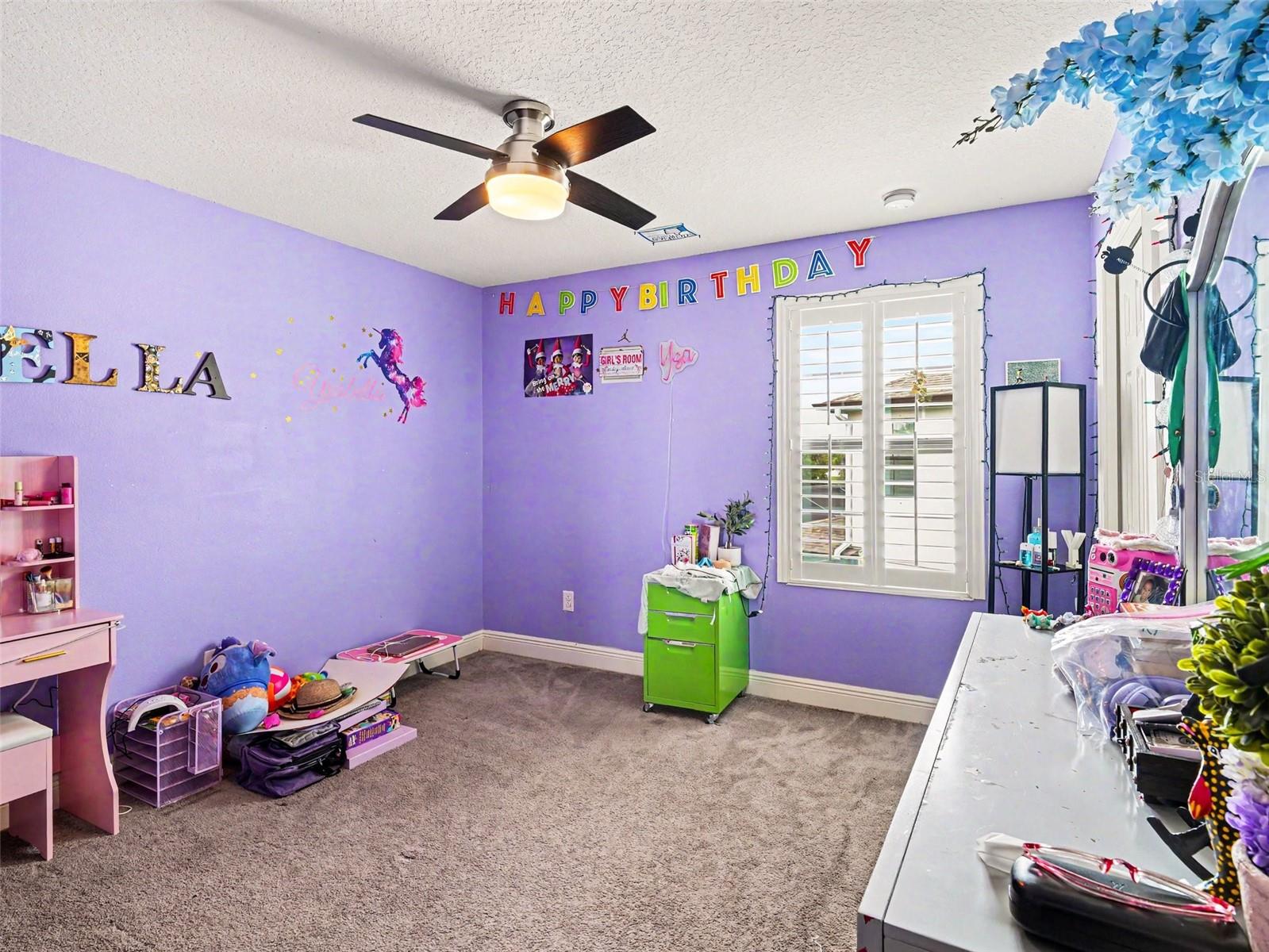 13116 FOXTAIL FERN DR, RIVERVIEW, FL, 33579
