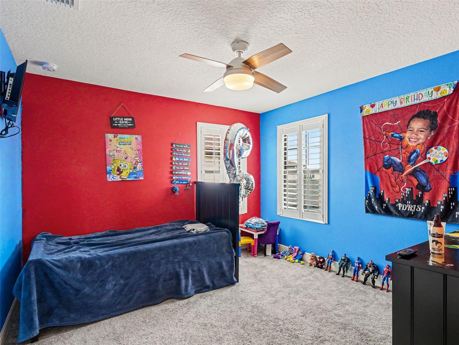 13116 FOXTAIL FERN DR, RIVERVIEW, FL, 33579