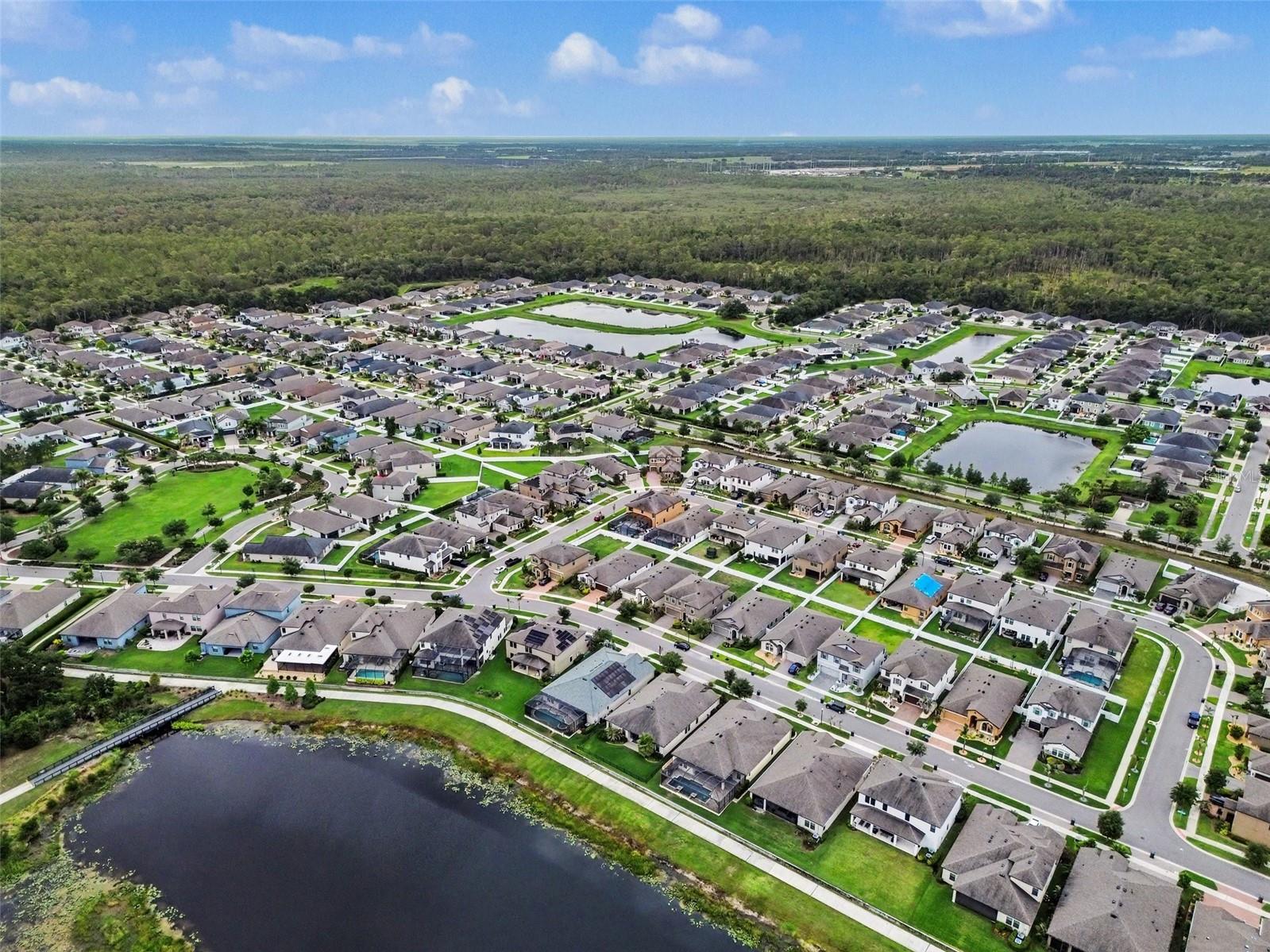 13116 FOXTAIL FERN DR, RIVERVIEW, FL, 33579