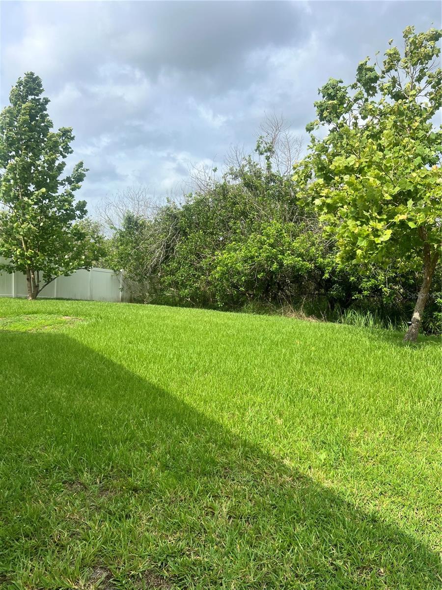 3739 RICKY LN, ST CLOUD, FL, 34772