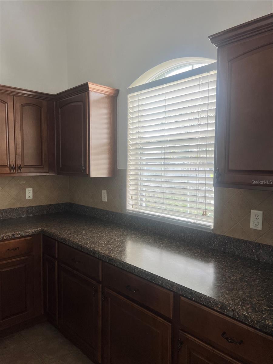 3739 RICKY LN, ST CLOUD, FL, 34772