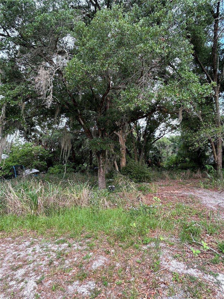 508 PALMETTO ST, EUSTIS, FL, 32726