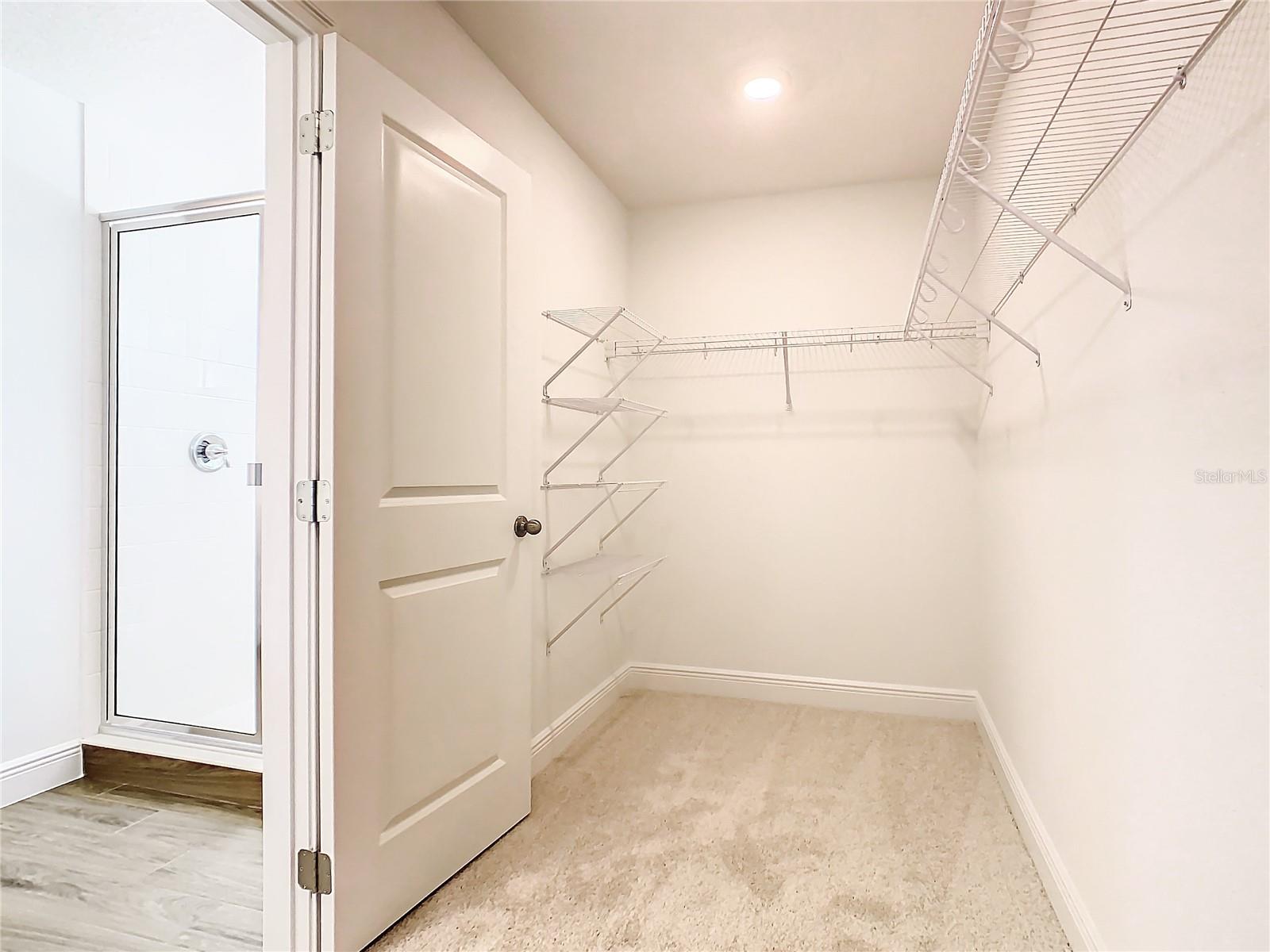 11165 GREEN CITRON ALY, WINTER GARDEN, FL, 34787