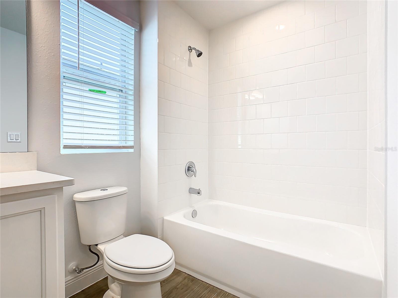 11165 GREEN CITRON ALY, WINTER GARDEN, FL, 34787