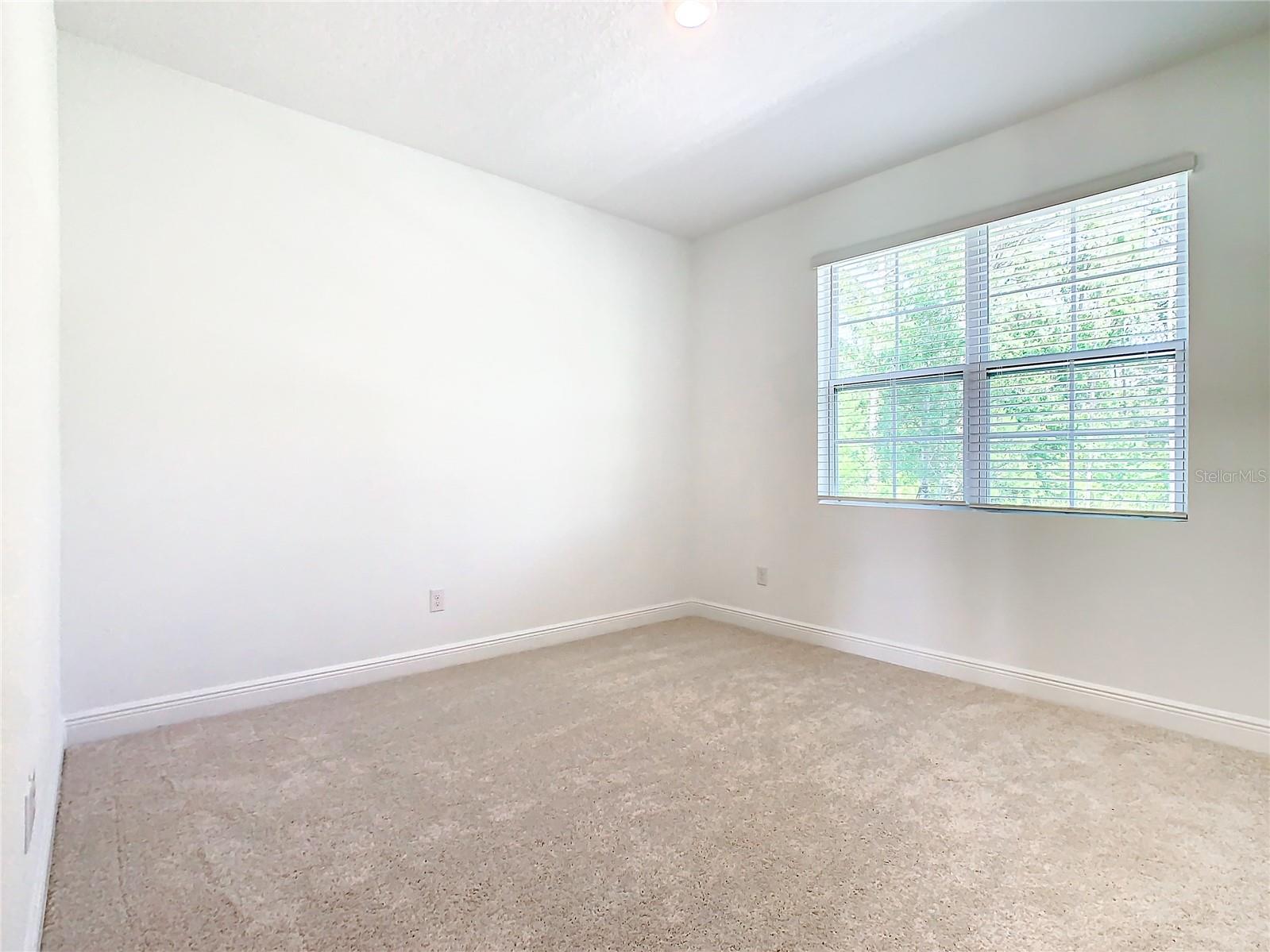 11165 GREEN CITRON ALY, WINTER GARDEN, FL, 34787