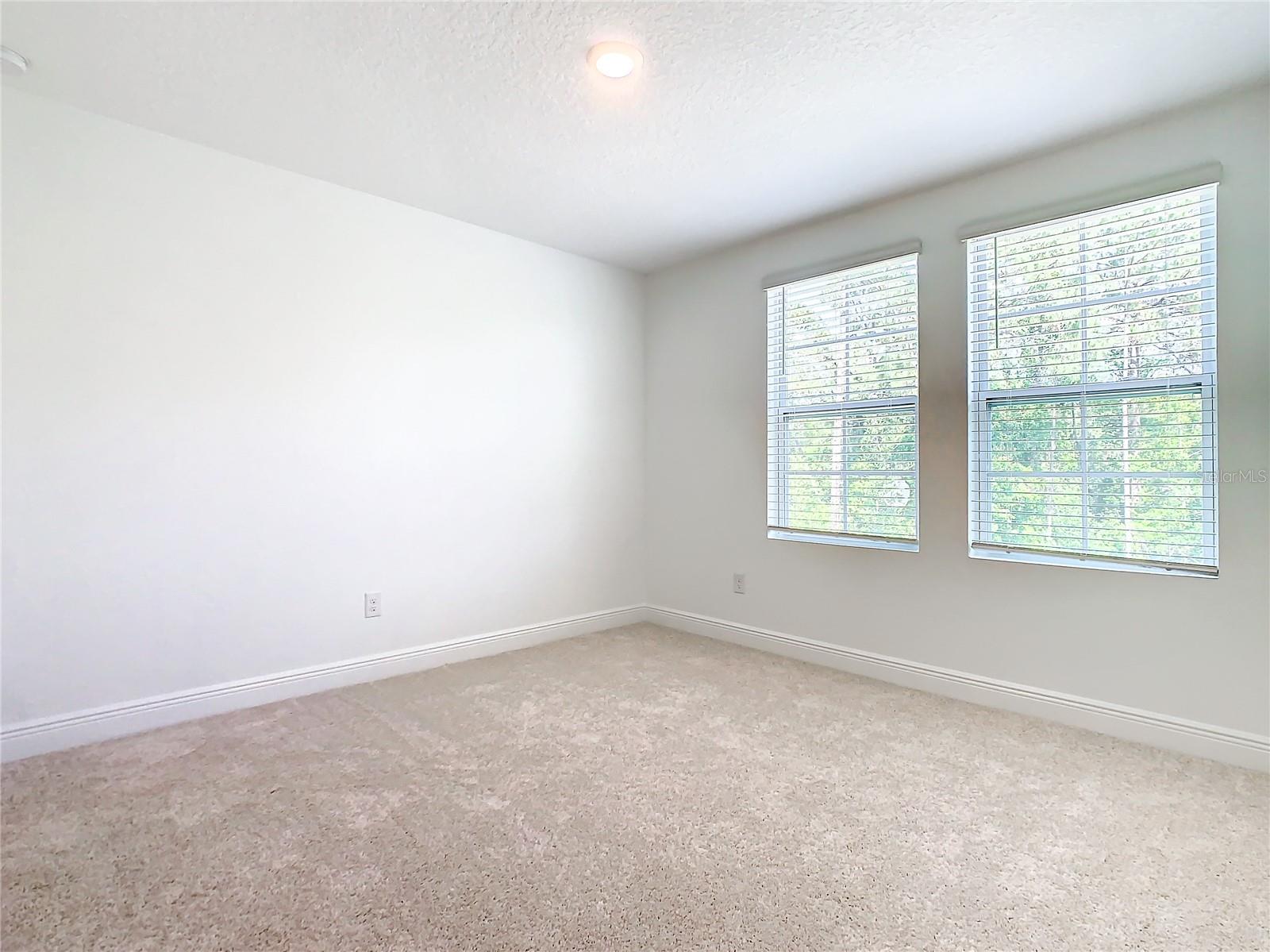 11165 GREEN CITRON ALY, WINTER GARDEN, FL, 34787