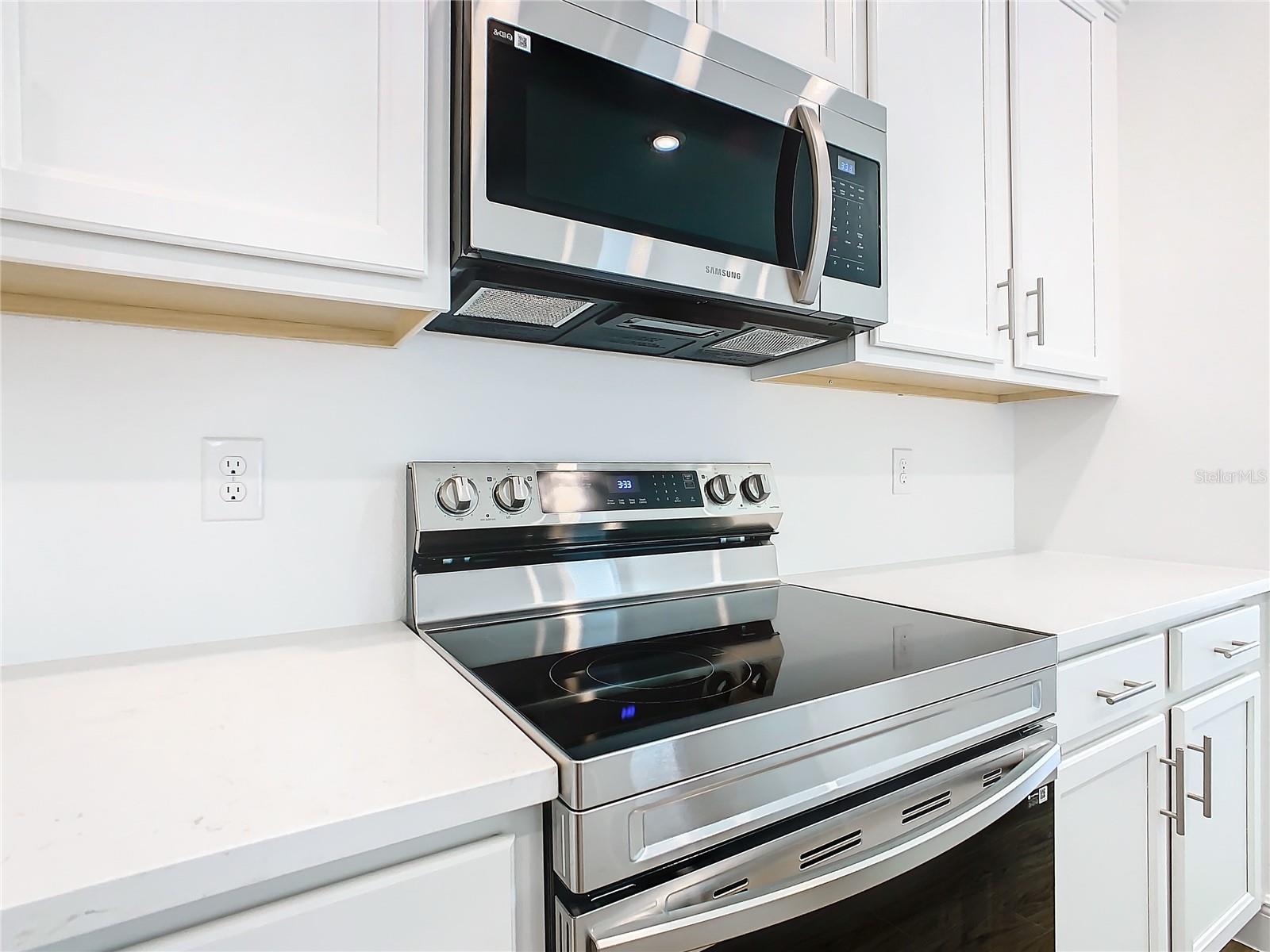 11165 GREEN CITRON ALY, WINTER GARDEN, FL, 34787