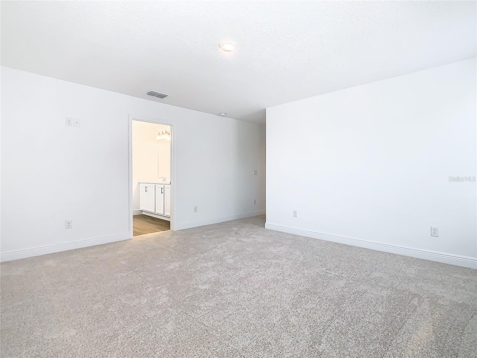 11165 GREEN CITRON ALY, WINTER GARDEN, FL, 34787