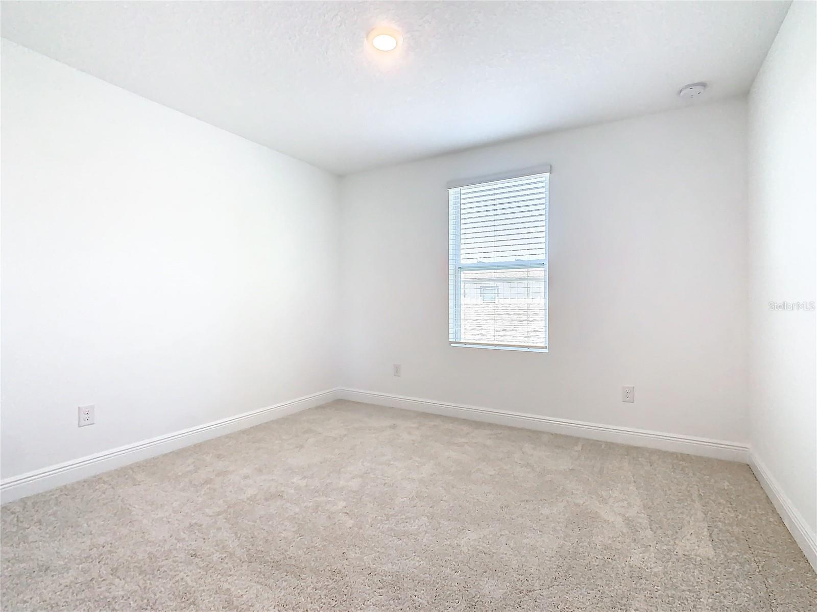 11165 GREEN CITRON ALY, WINTER GARDEN, FL, 34787