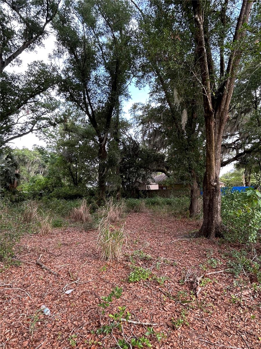 PALMETTO ST, EUSTIS, FL, 32726