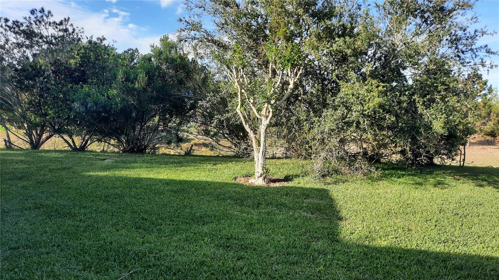 1315 ELLI CIR, ORMOND BEACH, FL, 32174