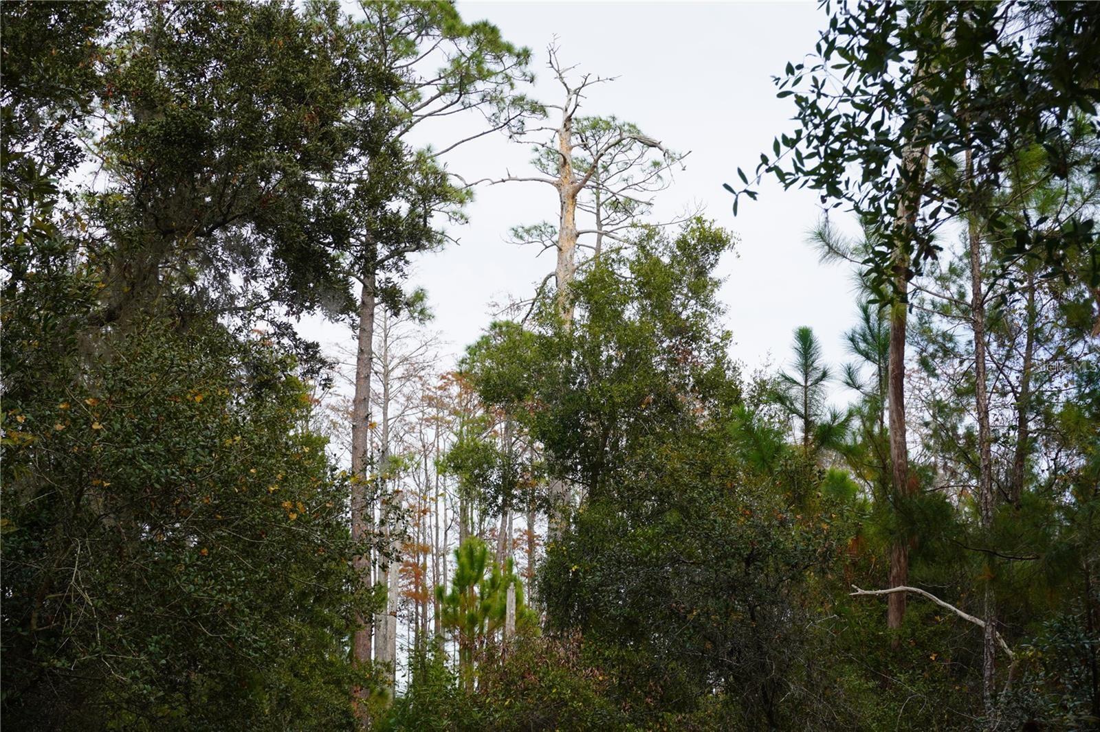 WEST PKWY, DELAND, FL, 32724